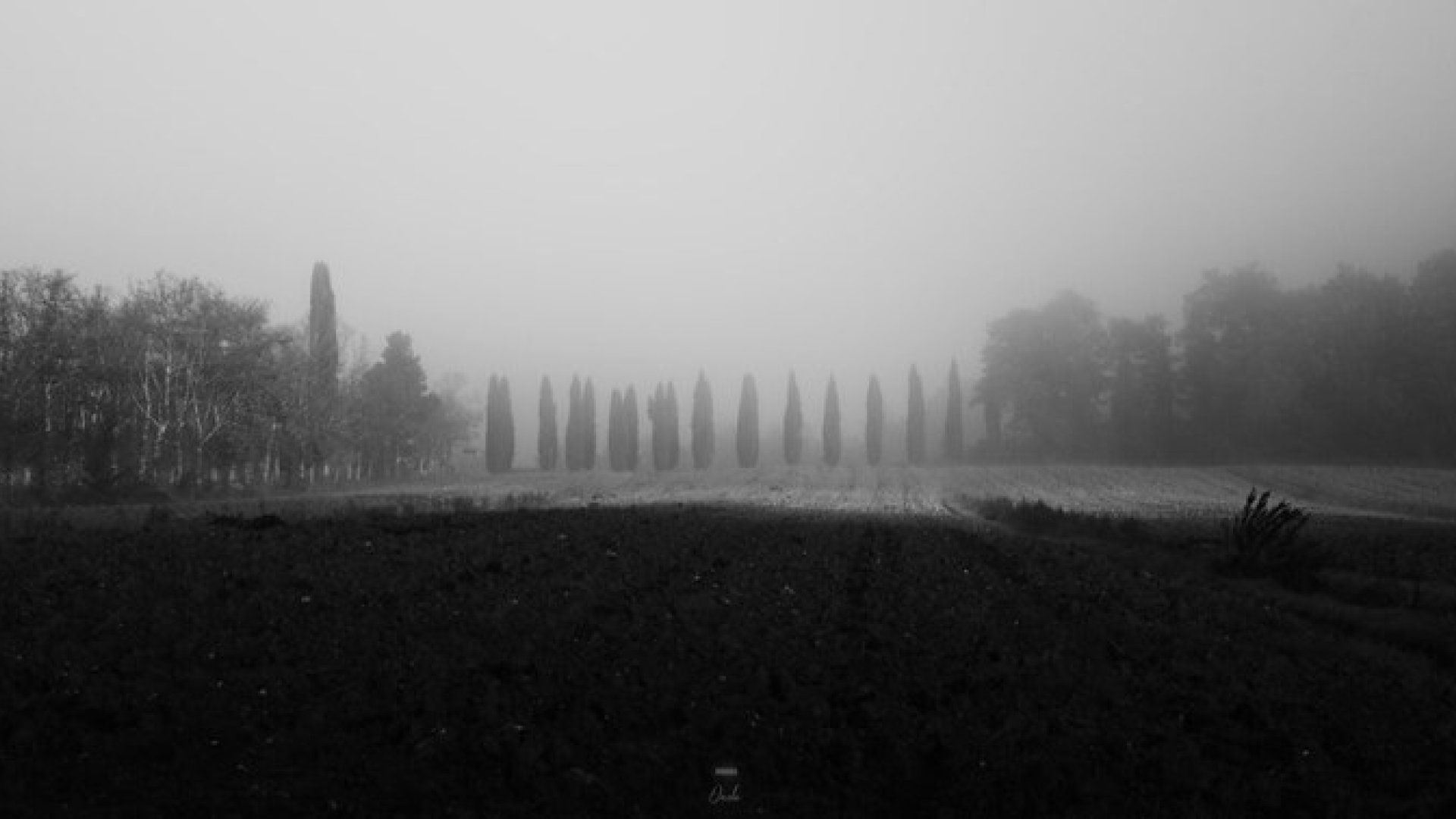 Panoramic Landscape 3