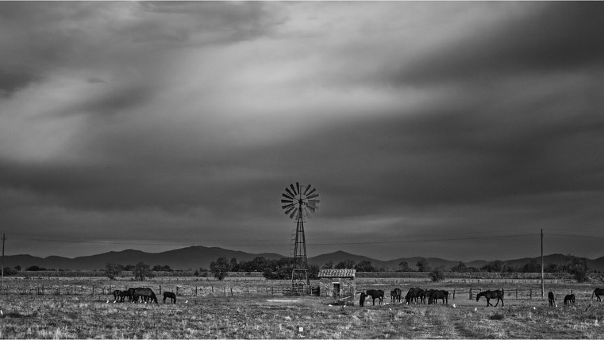 Panoramic Landscape 4