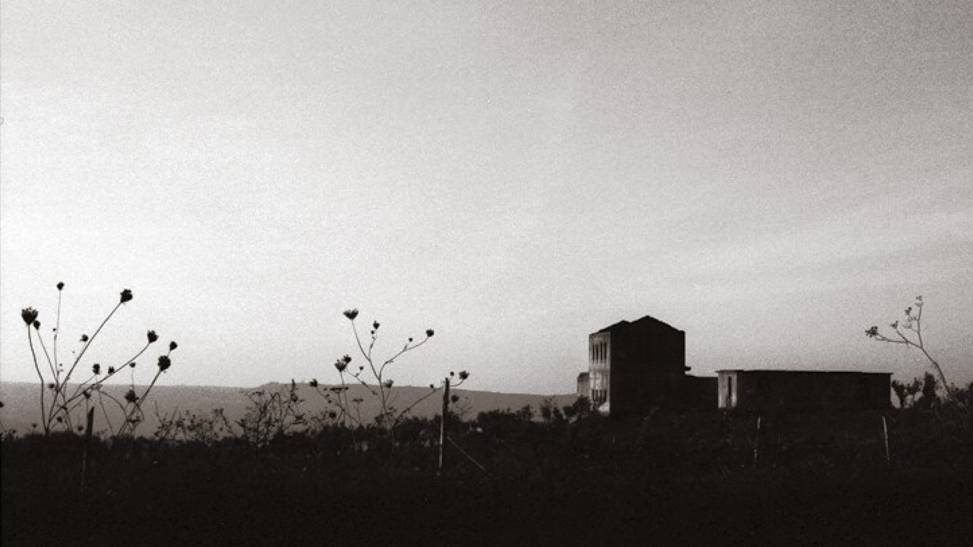 Panoramic Landscape 5